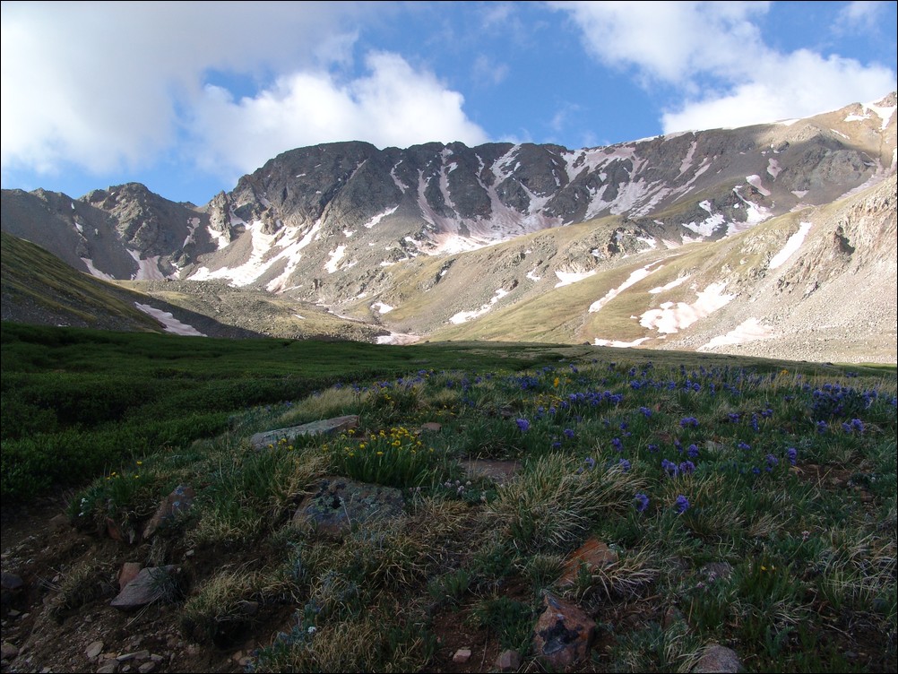 Missouri and Flowers